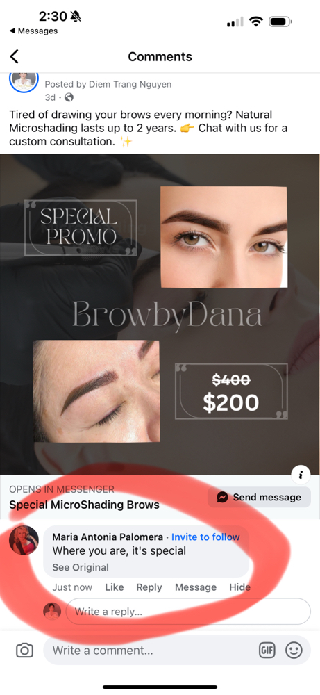 Microshading Brows