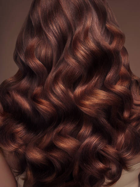 Full Color at Beauty By Dree in Somerset, TX