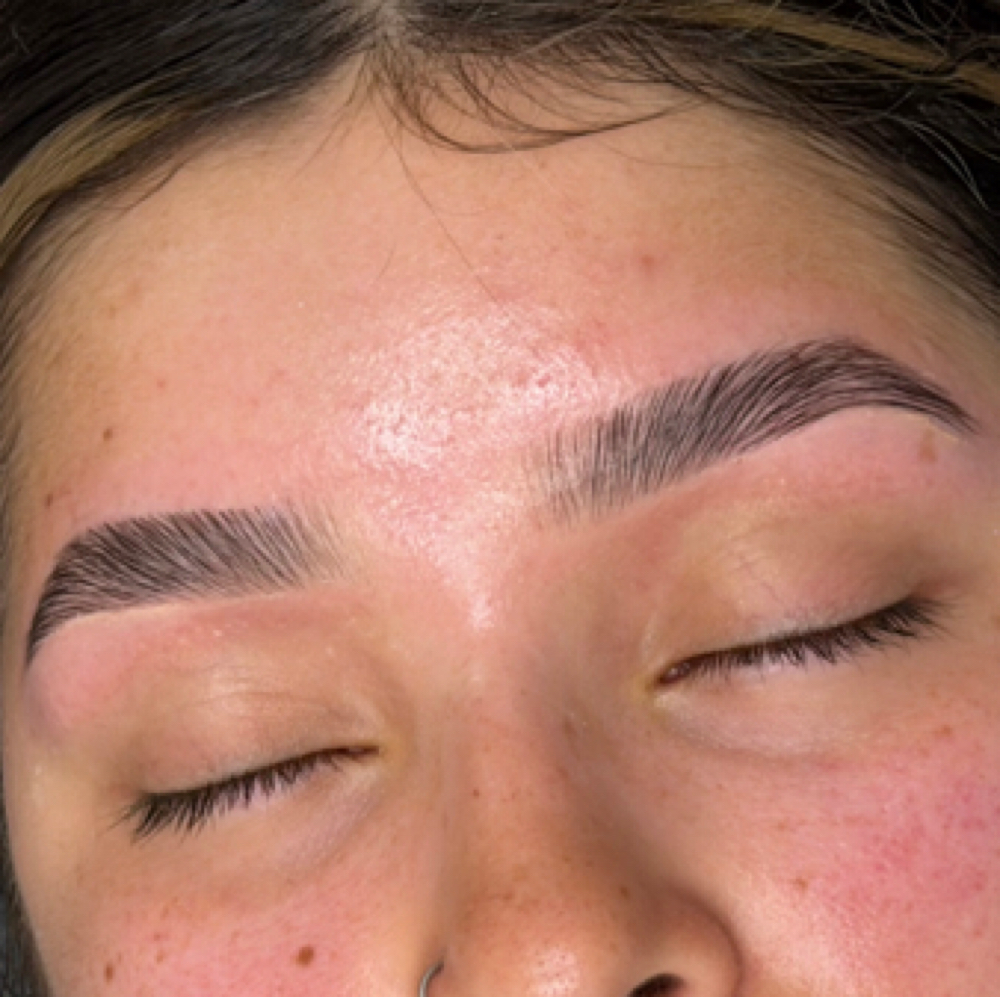 Brow Sculpt & Lamination at The Sknn Paige in Columbia, SC