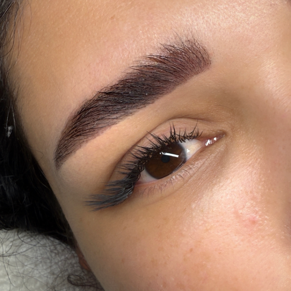 Eyebrow Shaping at SH Lash Beauty in Beverly Hills, CA