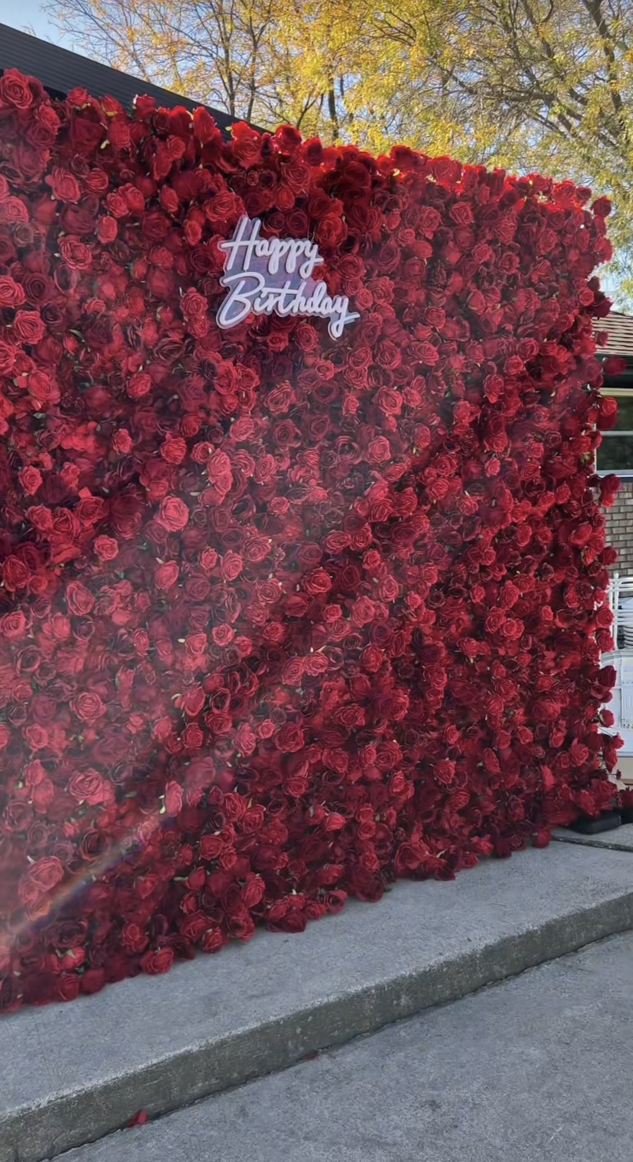 RED FLOWER WALL