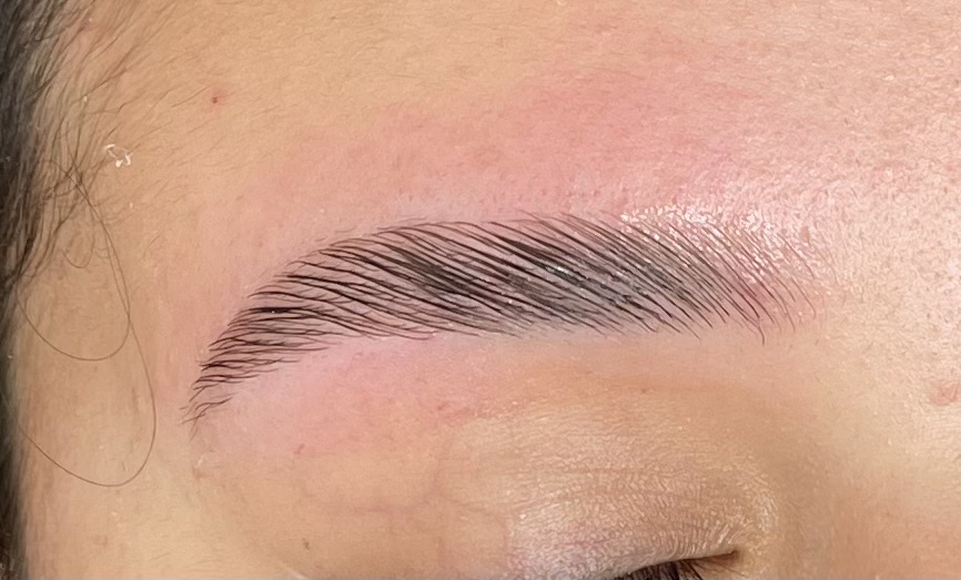 Brow Lamination + Wax