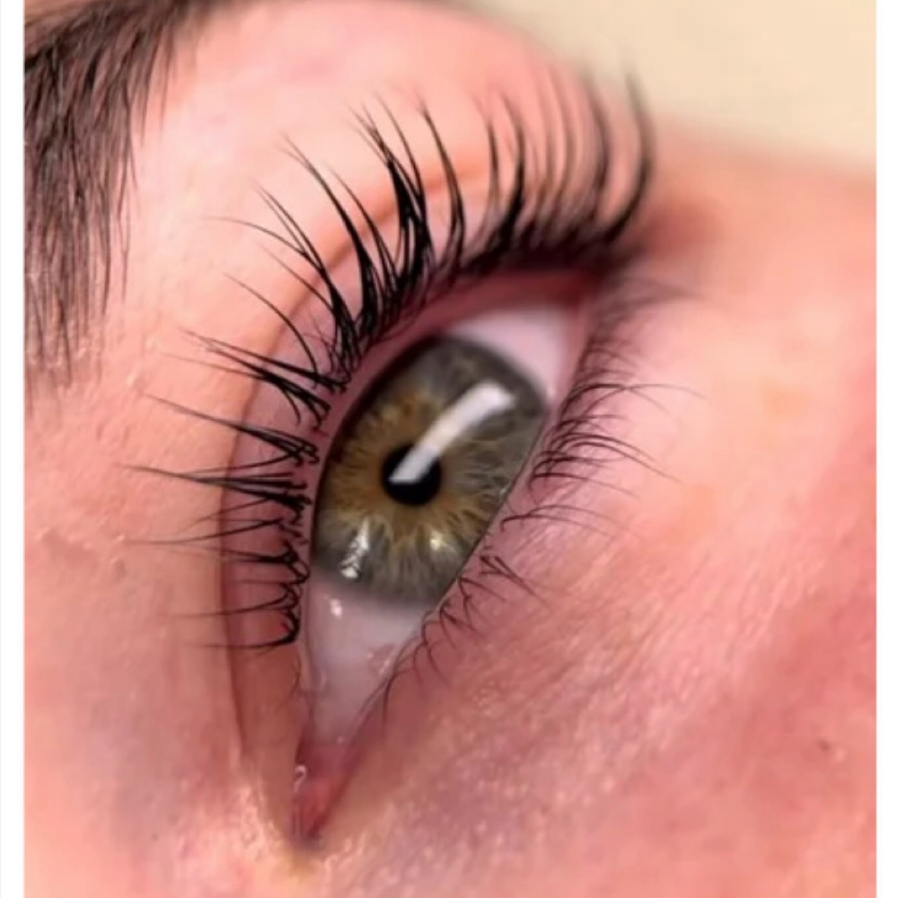 Lash Lifting at Susie Carranza Brows & Beauty in Sherman, TX