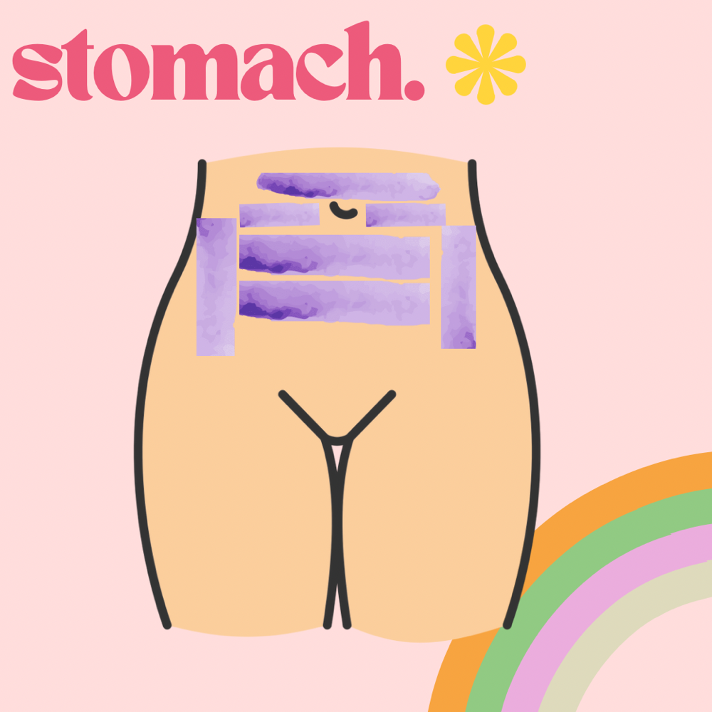 Stomach