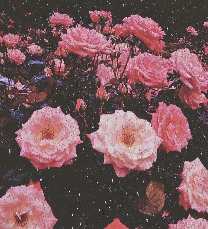 Eyebrow Wax at Kyrie Cecil Esthetics in Tucson, AZ