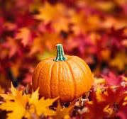Fall Scent Sampler Package