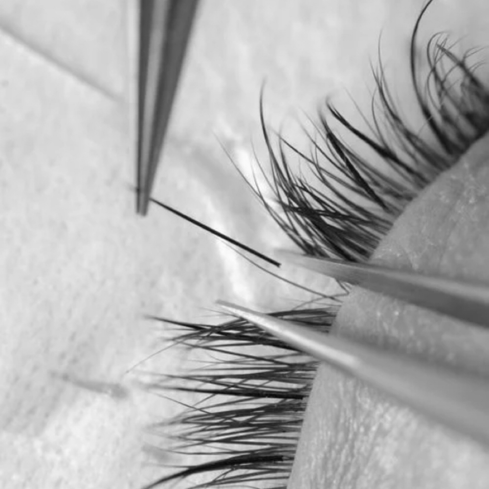 Classic 2 Week Relash at Lashes by Hallie in Ripley, MS