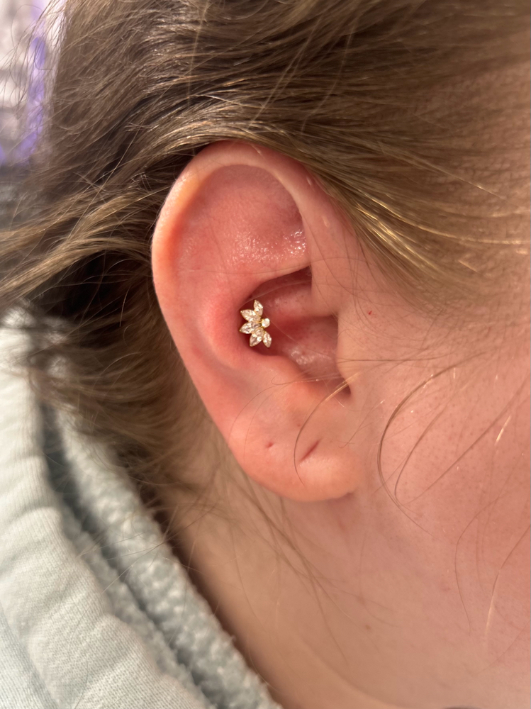 Conch