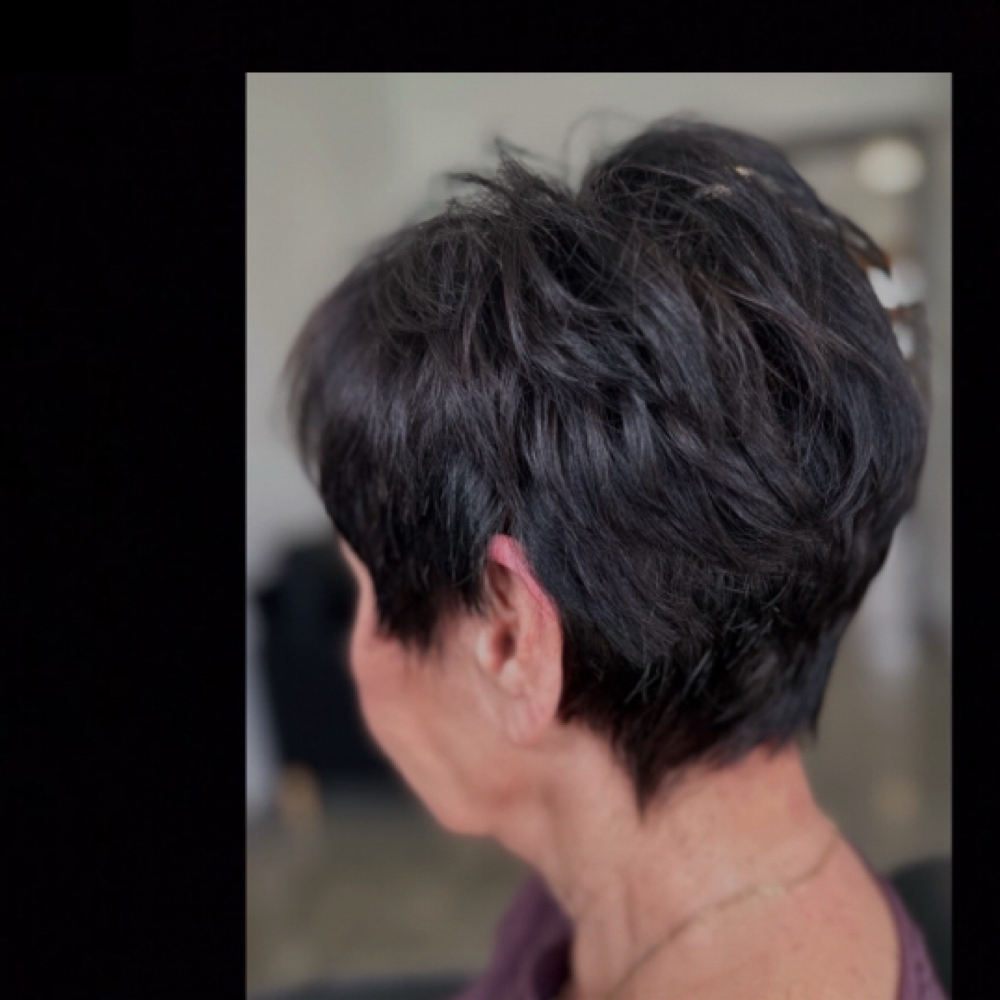 Root Refresh at Solo Salon in Port Townsend, WA