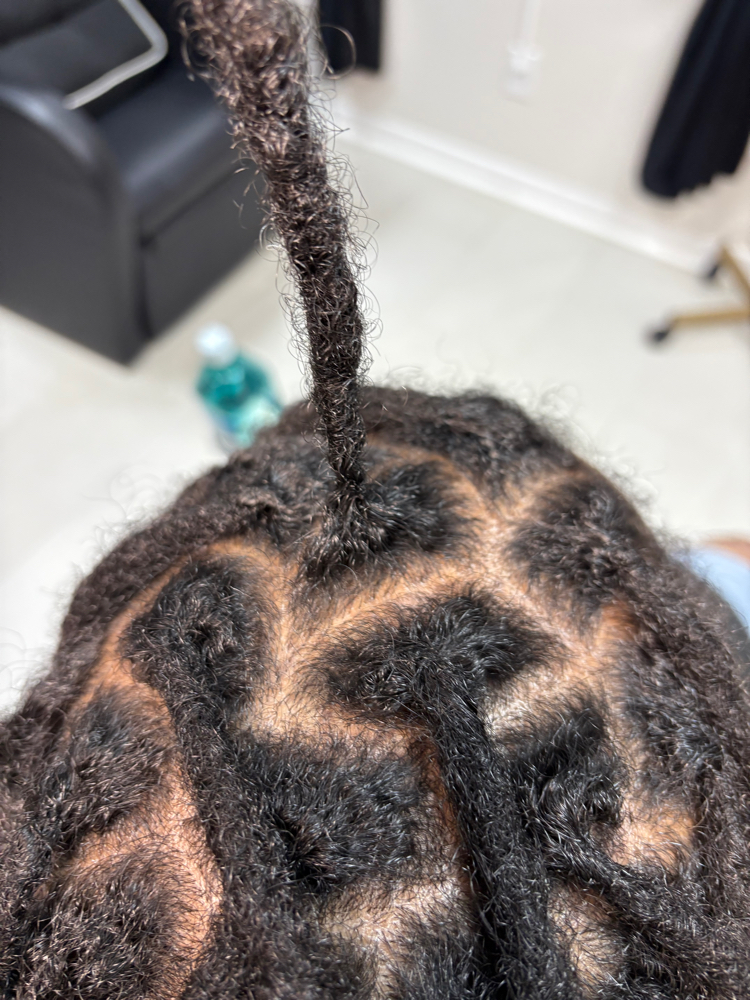 Crochet Root Refinement - Root Only