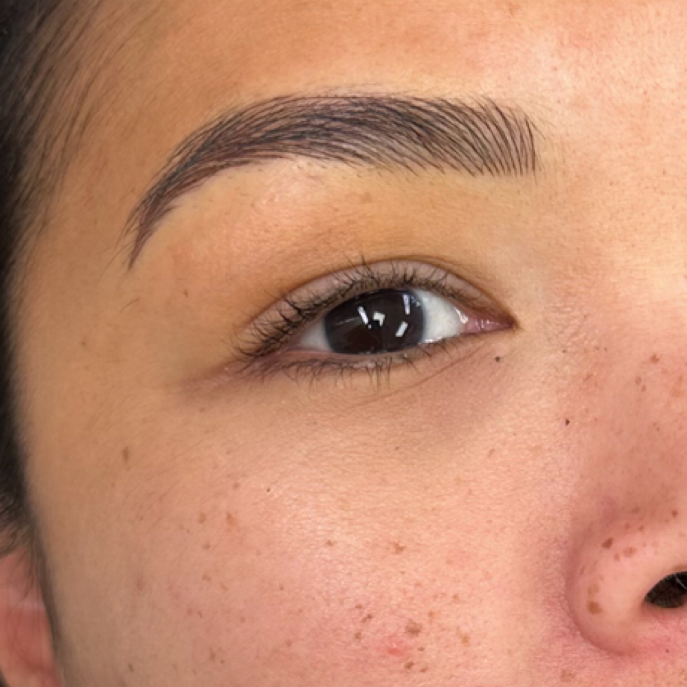 Microblading - First time at Obsidian Artistry in Bluffdale, UT