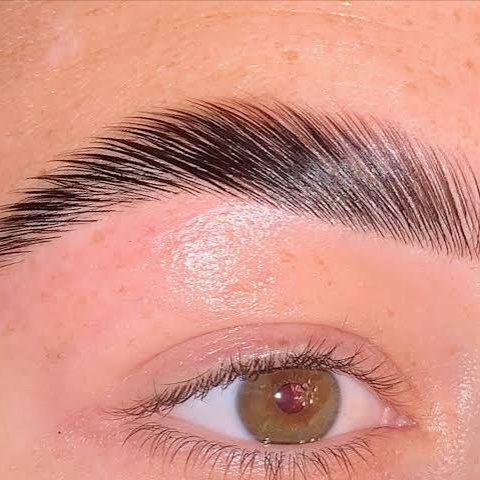 Brow Lamination at Lotus Lashes & Brows in Cleveland Heights, OH