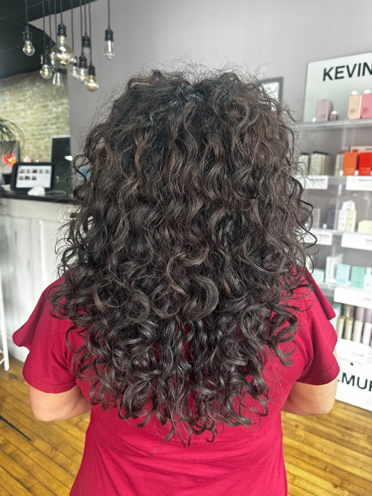 Returning Client Curly Cut at Brittany Spears Artistry in Chicago, IL