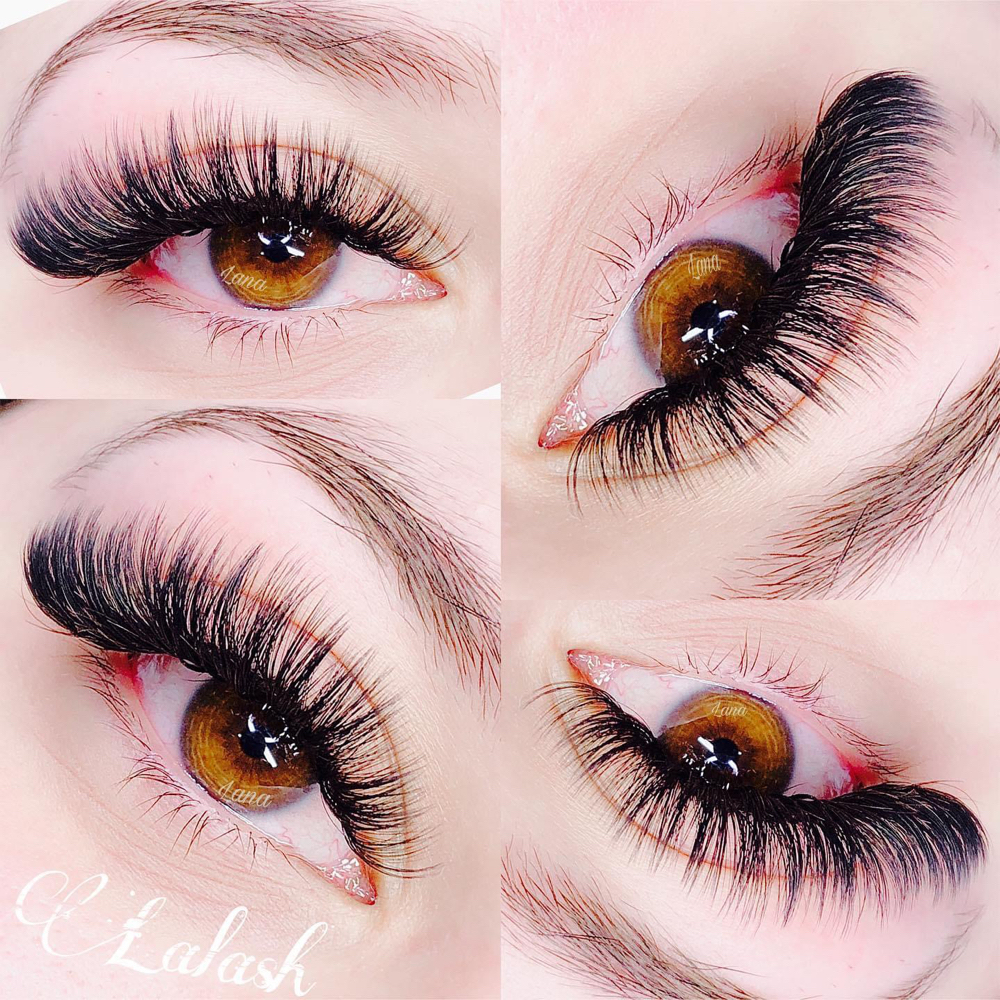 Volume Fullset $169