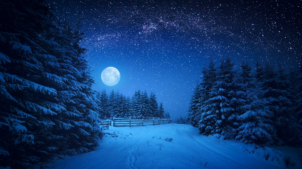 MONTHLY SPECIAL! Snow Moon Ritual