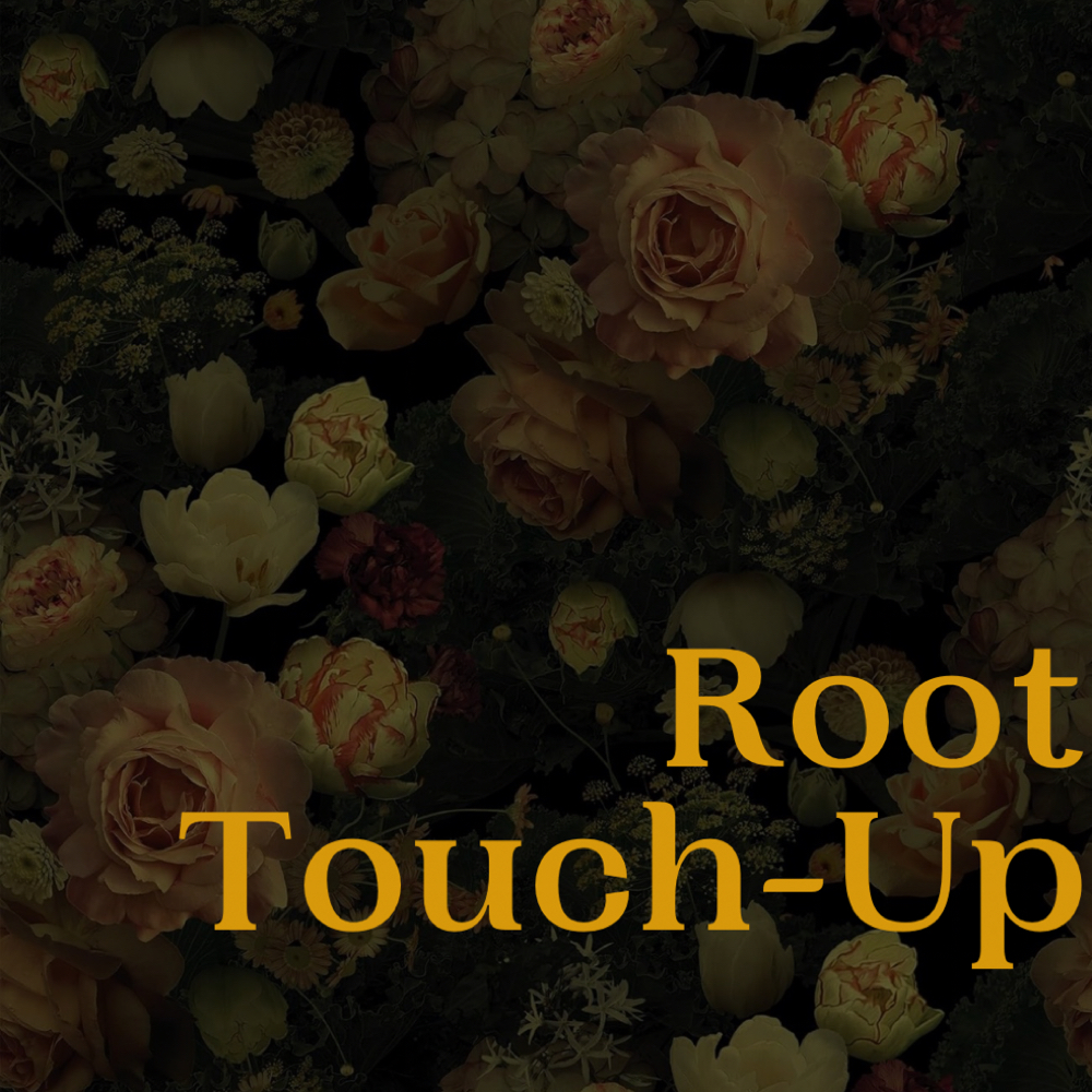 Root Touch-Up at Trashy Roots Studio in Holly Springs, NC