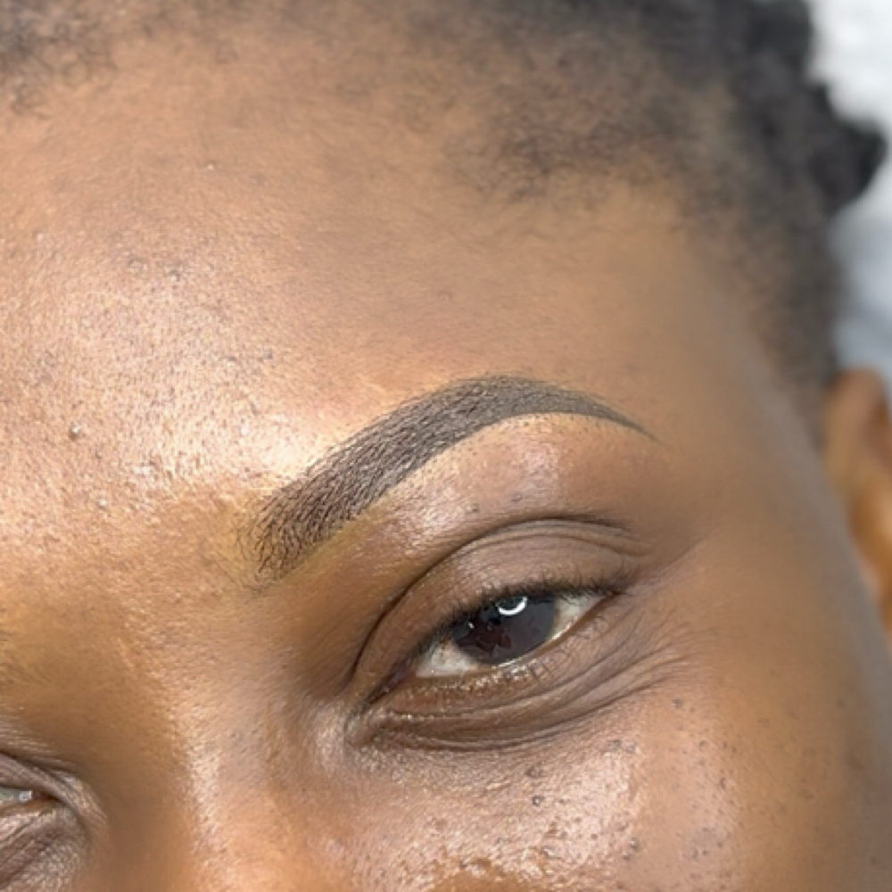 Ombre Shading Brows at Bebebrows in Raleigh, NC