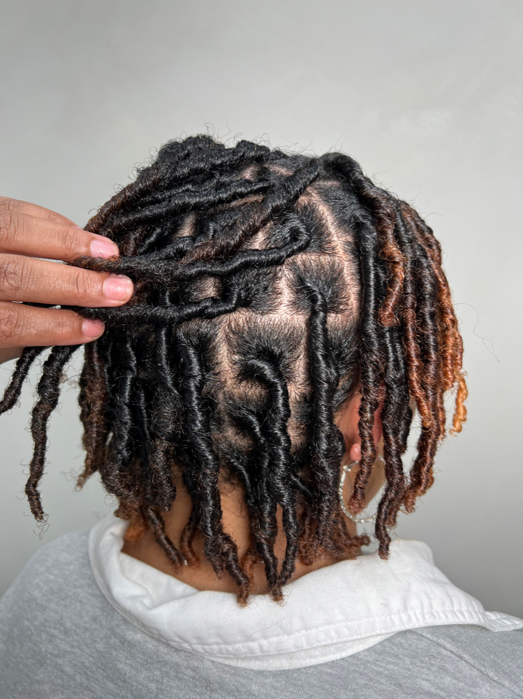 Wash & Retwist (Full Head)