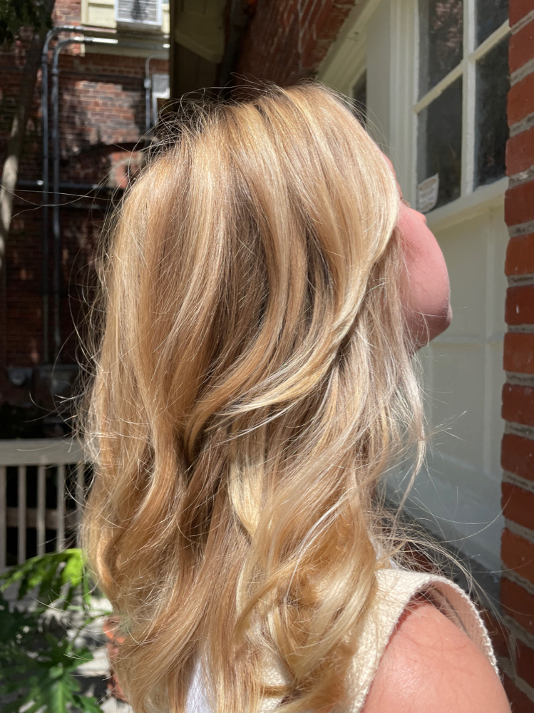 Blonding/ Balayage Session