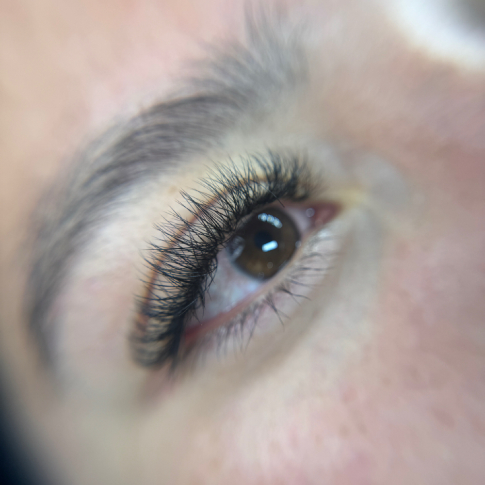 Hybrid at Celine - The Lash Resort in San Jose, CA
