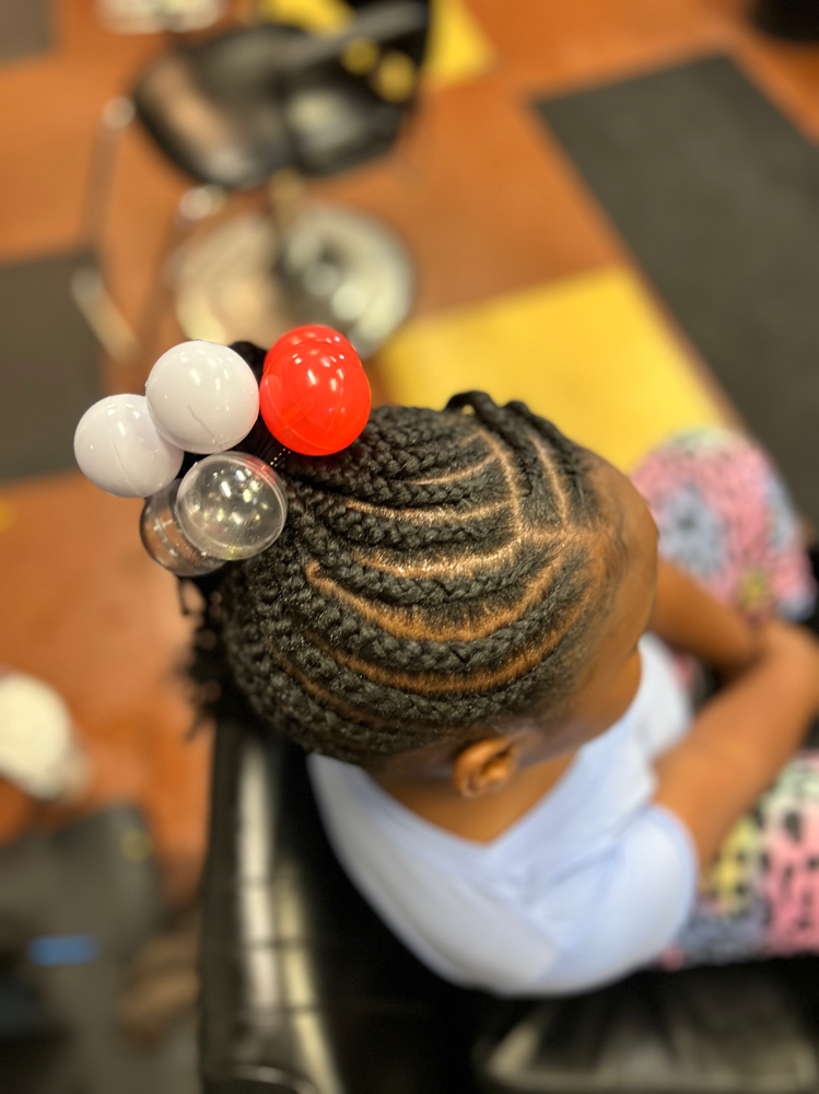 Braided Ponytail