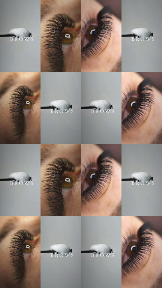 Thursday Special – Lashes + Brows