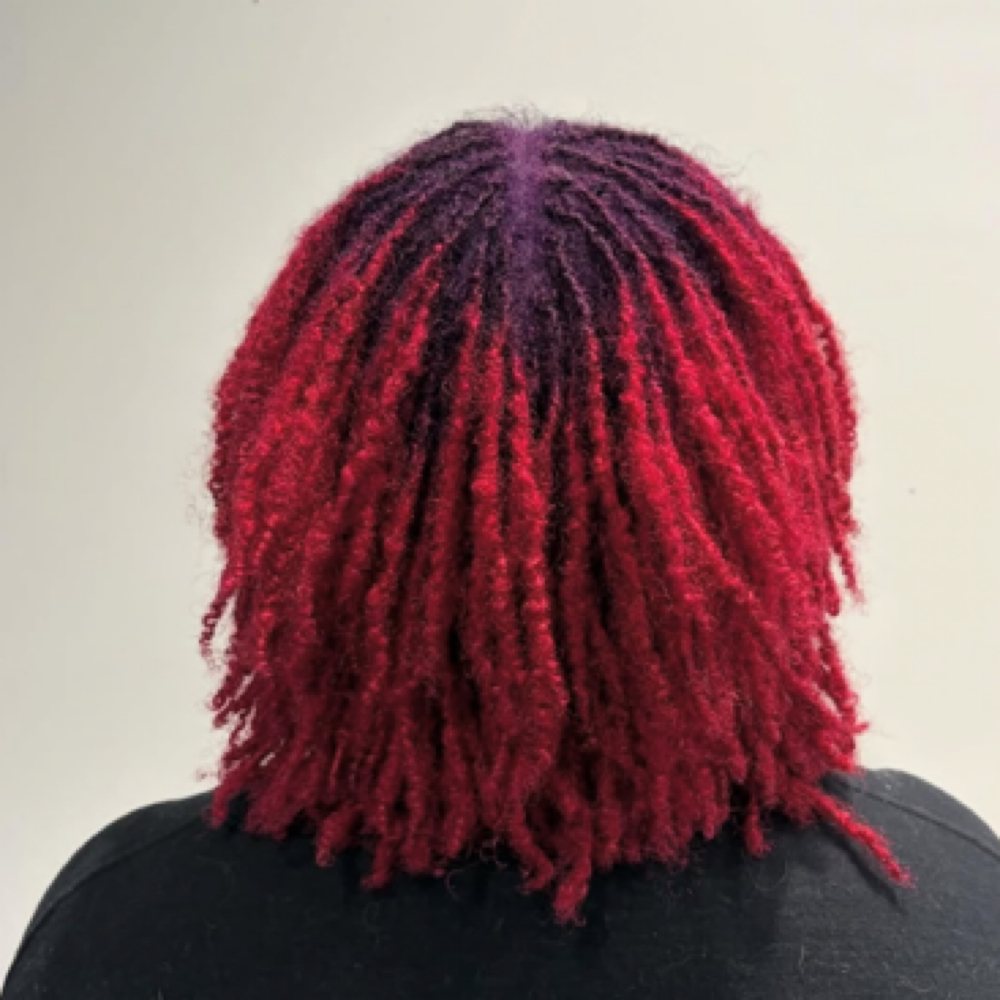 Loc Color at Haus Of Kartel/The Lash Kartel in Rochester, NY