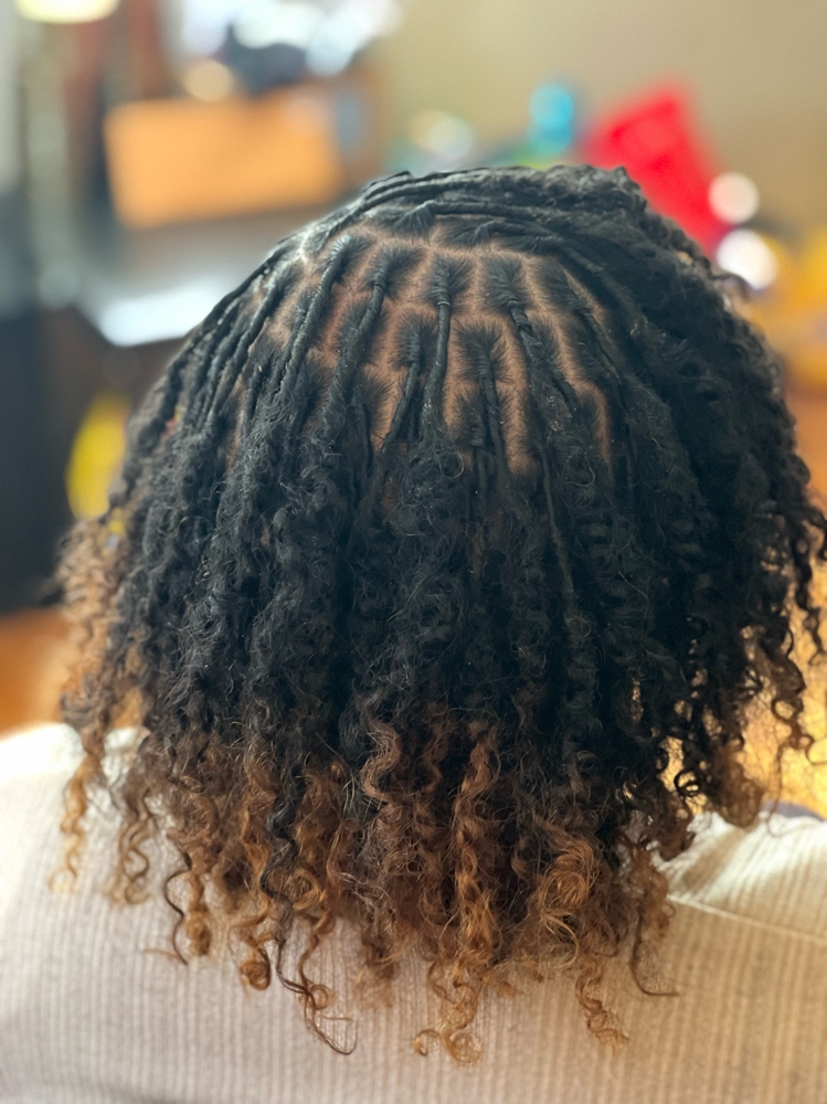 Wash & Retwist