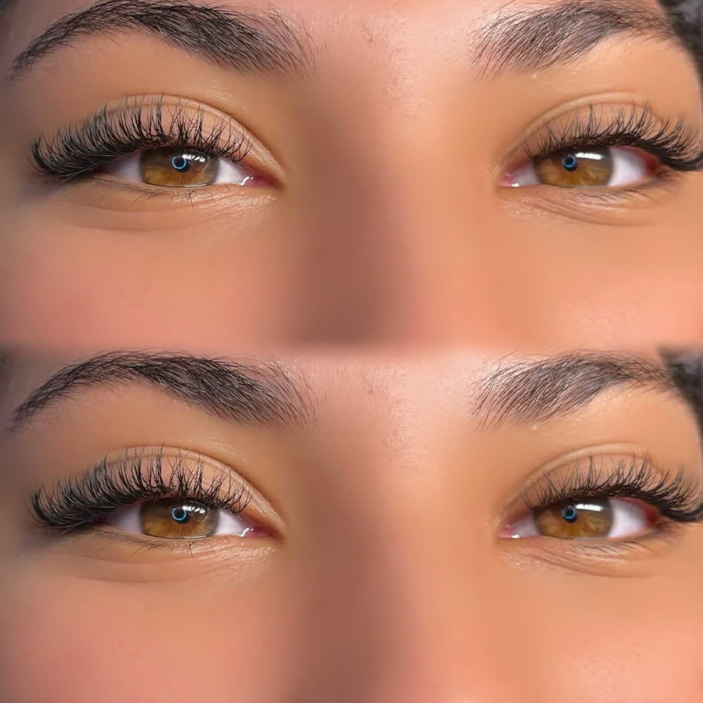 Classic Lashes