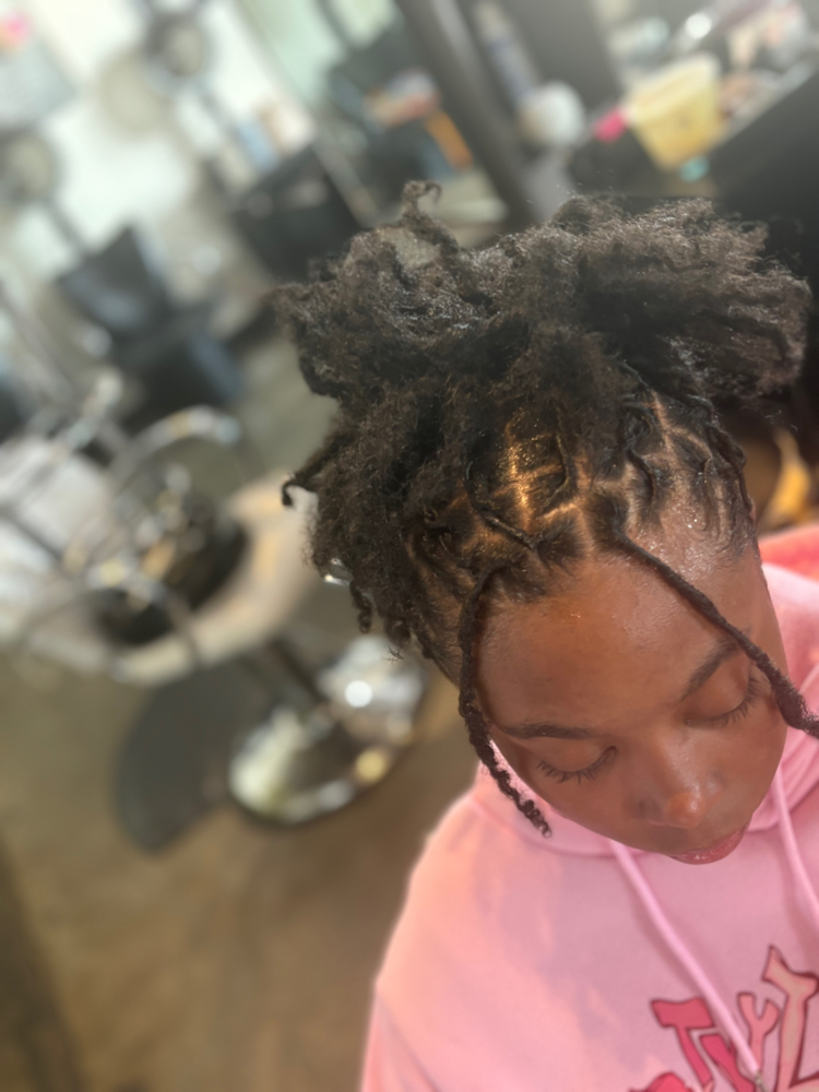 Retwist With Updo