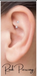 Rook