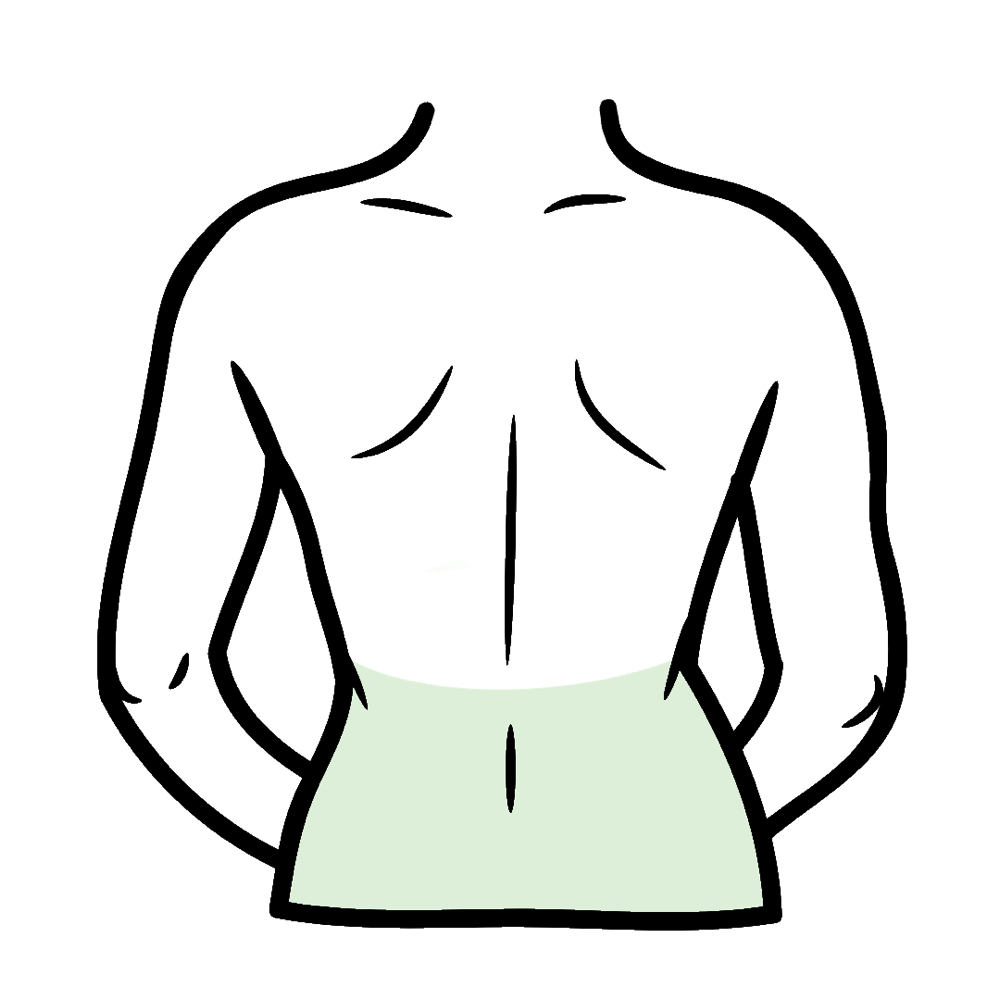 Lower Back