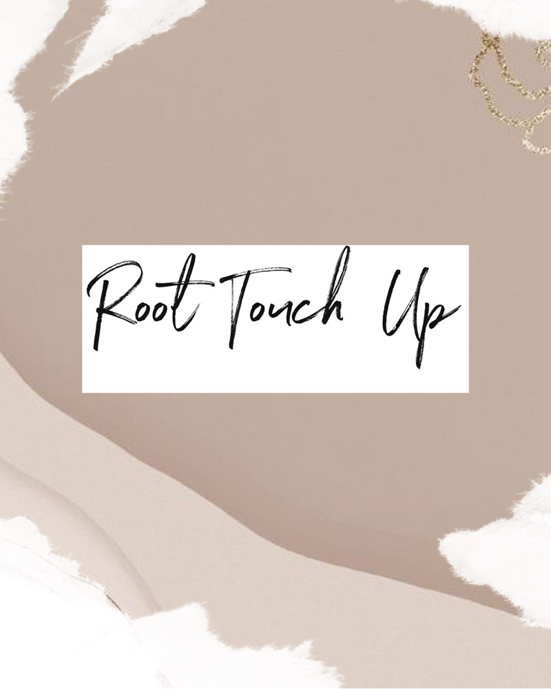 Root Touch Up + Blow Dry