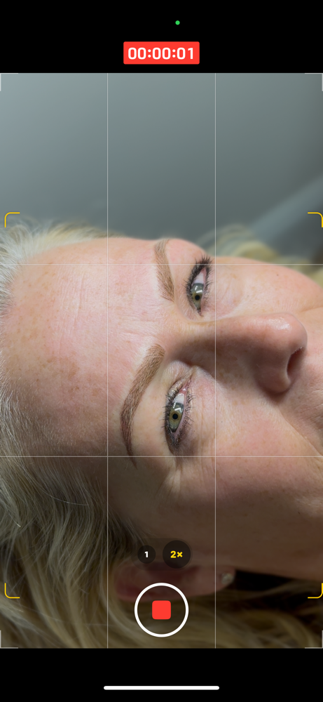 Microblading Touch Up