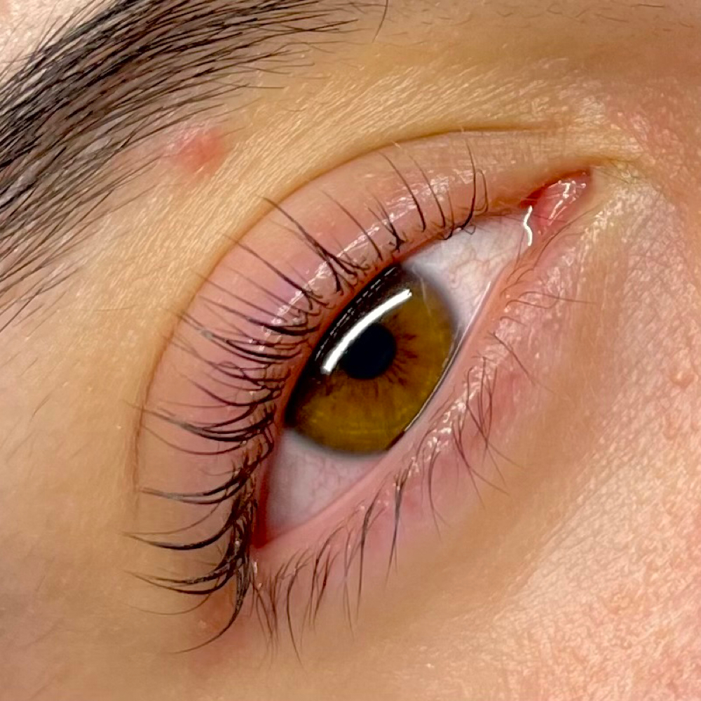 Korean Lash Lift (August Special) at XO Lashes in Glendale, CO