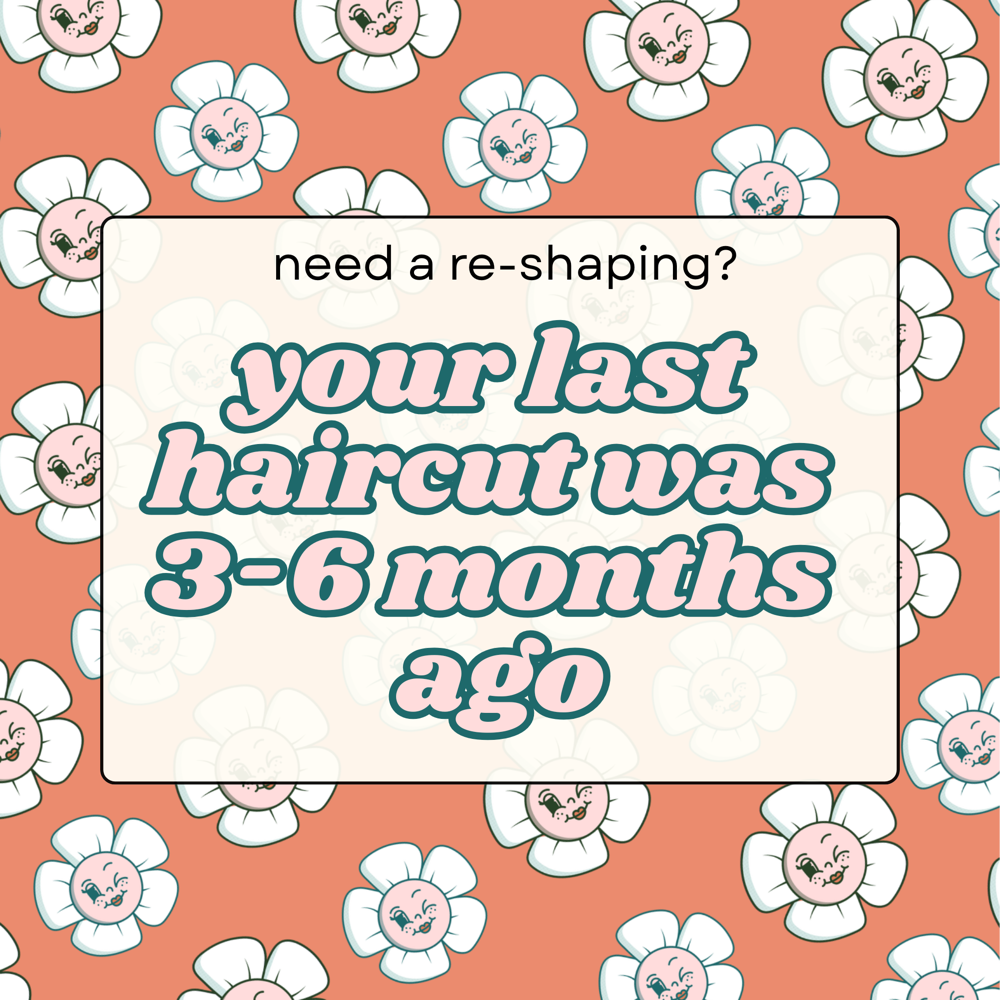 shampoo + haircut + style