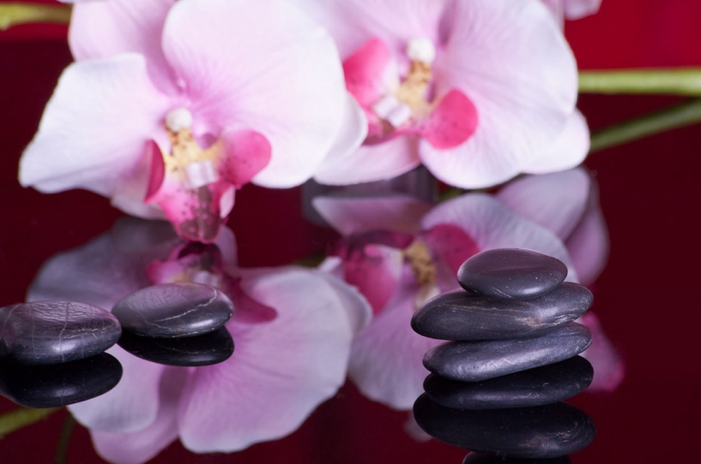30 Minute Back And Neck Massage