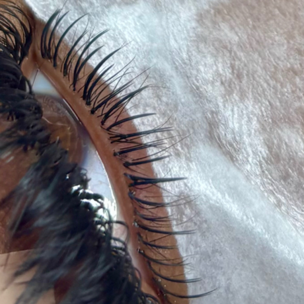 complimentary bottom lashes at iSTYLASH Esthetics in OAK PARK, MI