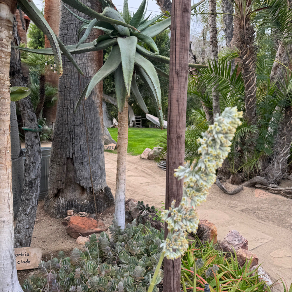 Lip Wax at Indigo Salon @ Beaumont in Lexington, KY