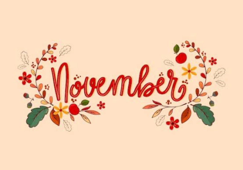 $150 November Special 🧡