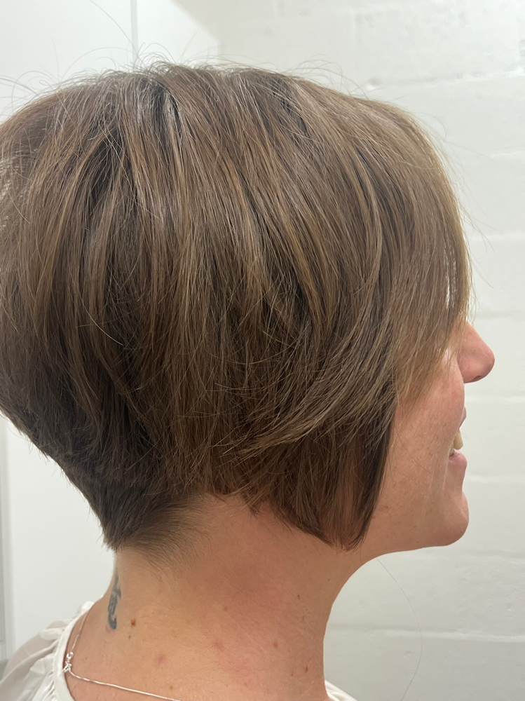 Designer Cuts Includes Blow Dry