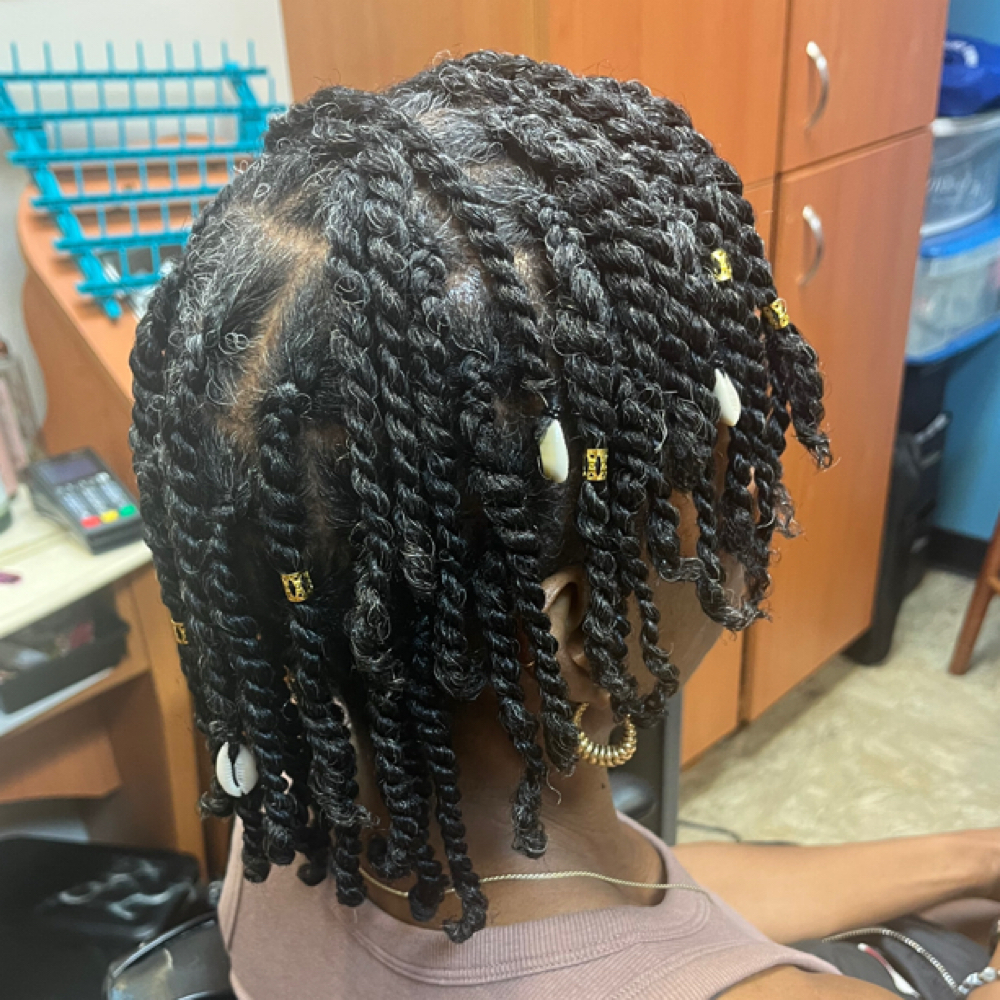 Braid/Twist Style (Basic) at Hair By ElahVee in Omaha, NE