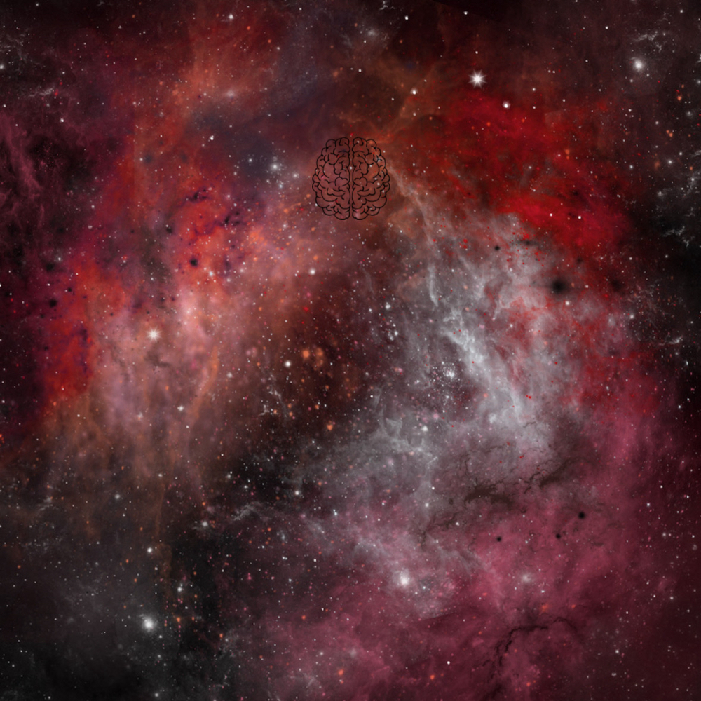 Craniosacral Massage at Physical Prosperity in Plymouth, MI