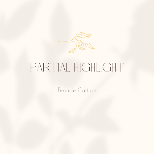 Partial Highlight/Balayage