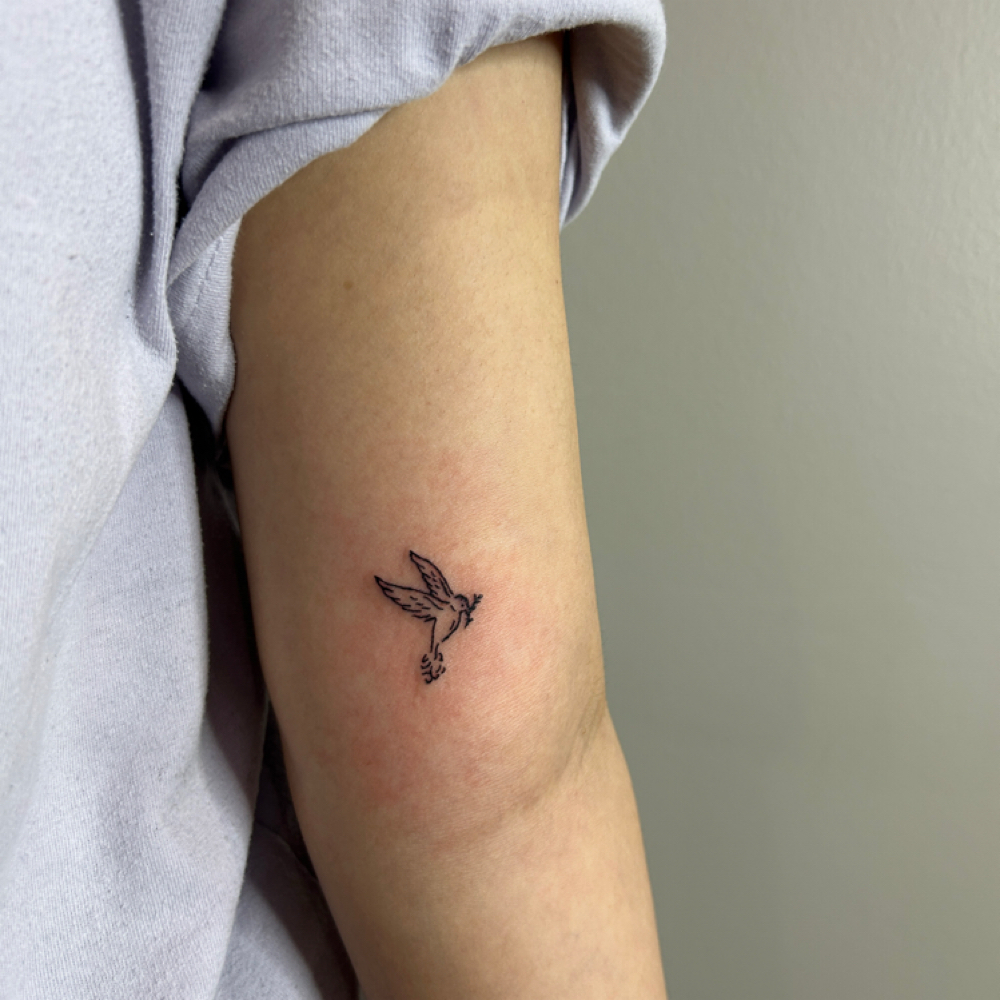 2nd Fine Line Touch Up at La Mona Studio in Pflugerville, TX