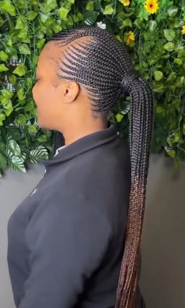 small feedin ponytail