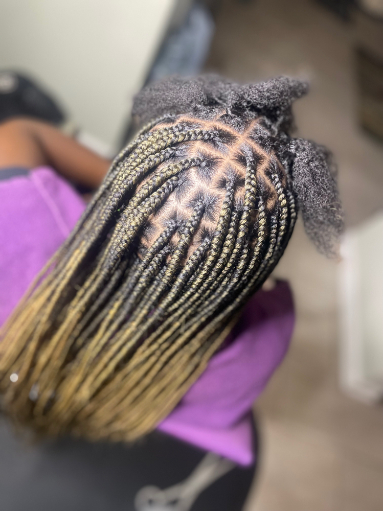 LsBellaHair TouchUp