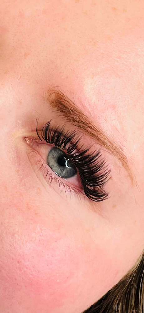 Refill (classic ,hybrid ,volume)