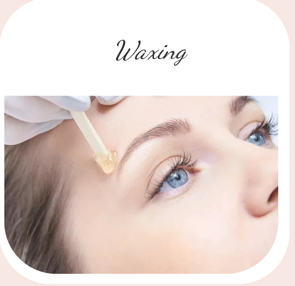 Brow Wax + Tint W/ Vanessa