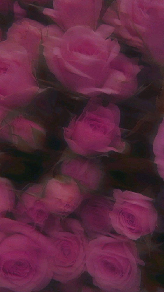 Signature Facial Deluxe at Kyrie Cecil Esthetics in Tucson, AZ